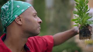 HOW TO BECOME A GOOD HERBAL HEALER