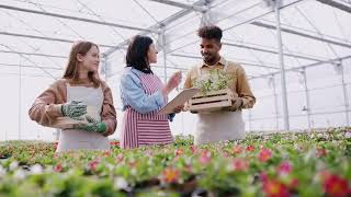 BUYING YOUR HERBS: WHAT TO SEARCH FOR